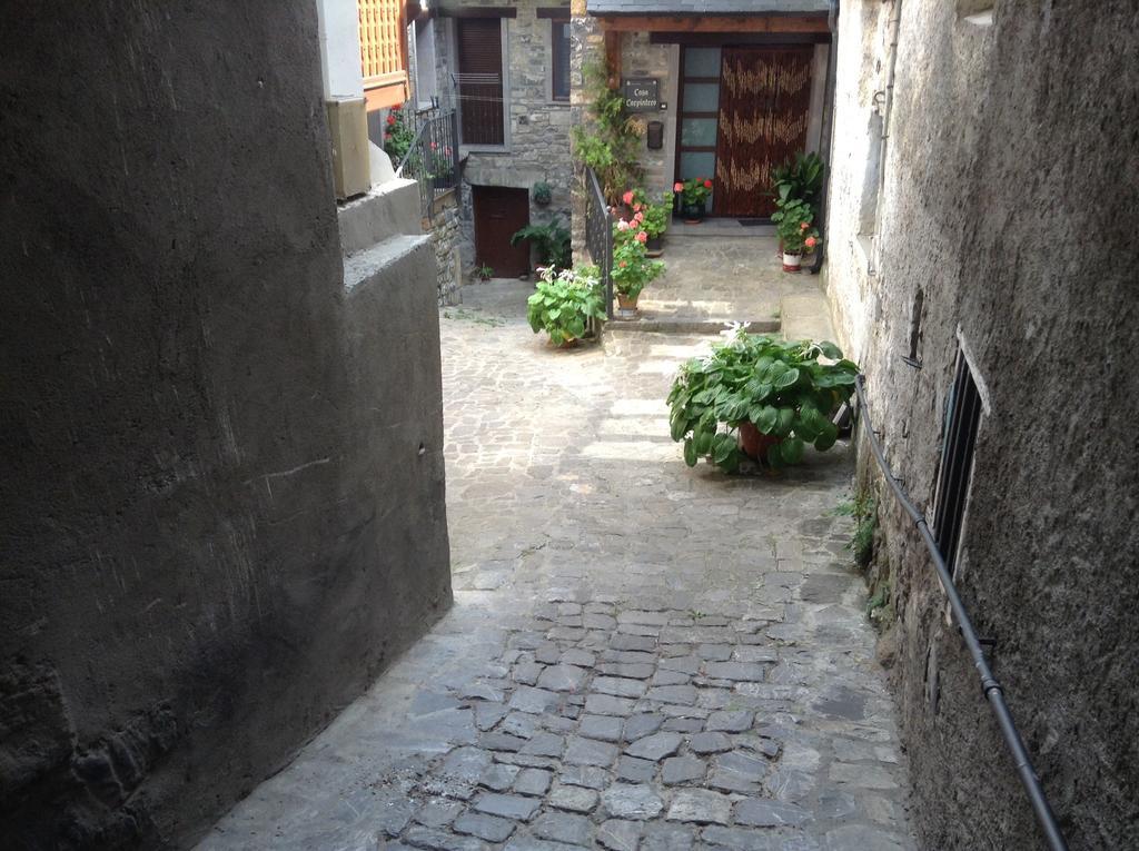 Casa Carpintero Apartment Torla Cameră foto